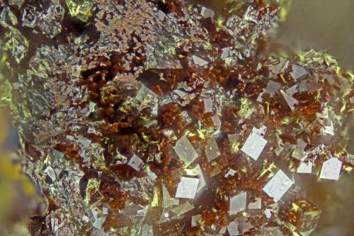 Pharmacosiderite<br />Wheal Gorland, Saint Day, Camborne - Redruth - Saint Day District, Cornwall, England / United Kingdom<br />FOV = 2.0 mm<br /> (Author: Doug)