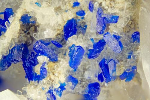 Azurite<br />Dolyhir Quarry, Wethel, Old Radnor, Powys, Wales / United Kingdom<br />FOV = 2.0 mm<br /> (Author: Doug)