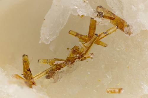 Vanadinite<br />Shelby Mine, White Hills, Cerbat Mountains, Gold Basin District, Mohave County, Arizona, USA<br />FOV = 3.1 mm<br /> (Author: Doug)