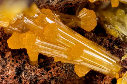 Mimetite<br />Sammy Dog Mine, Silver Bell Mountains, Silver Bell District, Pima County, Arizona, USA<br />FOV = 3.5 mm<br /> (Author: Doug)