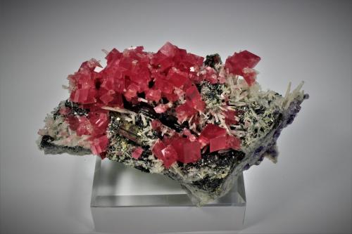 Rhodochrosite, Quartz, Fluorite, Tetrahedrite, Pyrite, Hubnerite<br />Mina Sweet Home, Monte Bross, Distrito Alma, Condado Park, Colorado, USA<br />132 mm x 78 mm<br /> (Author: Don Lum)