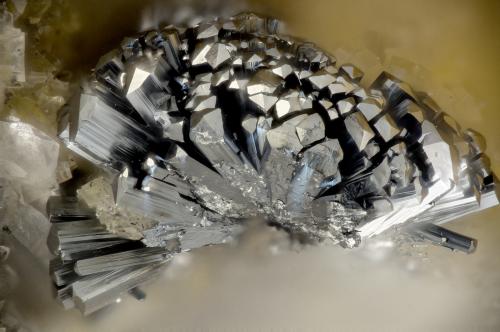 Stibnite<br />Minas Goldstrike, veta Deep Post, pozo Betze-Post, Distrito Lynn, Condado Eureka, Nevada, USA<br />FOV = 1.9 mm<br /> (Author: Doug)