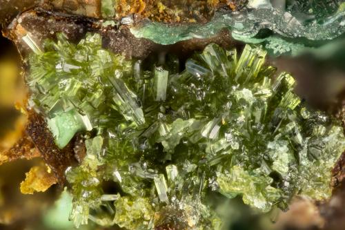 Olivenite<br />Mina Burrus, Distrito Pyramid, Condado Washoe, Nevada, USA<br />FOV = 1.7 mm<br /> (Author: Doug)