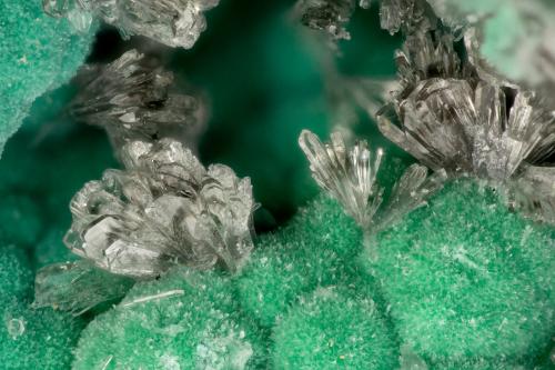 Hemimorphite<br />Mina Zinc Hill, Colina Zinc, Montes Argus (Cordillera Argus), Distrito Zinc Hill, Condado Inyo, California, USA<br />FOV = 3.1 mm<br /> (Author: Doug)