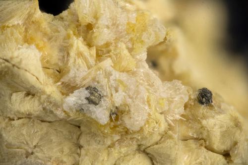 Carpholite<br />Horní Slavkov (Schlaggenwald), Región Karlovy Vary, Bohemia, República Checa<br />FOV = 3.7 mm<br /> (Author: Doug)