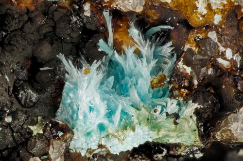 Aurichalcite<br />Concesiones Exile and King, Montes Santa Rita, Helvetia, Distrito Helvetia-Rosemont, Condado Pima, Arizona, USA<br />FOV = 3.1 mm<br /> (Author: Doug)