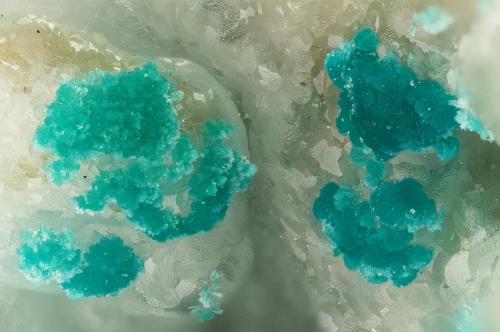 Rosasite<br />Mina Hidden Treasure, zona Ophir Hill, Montes Oquirrh, Distrito Ophir, Condado Tooele, Utah, USA<br />FOV = 3.1 mm<br /> (Author: Doug)