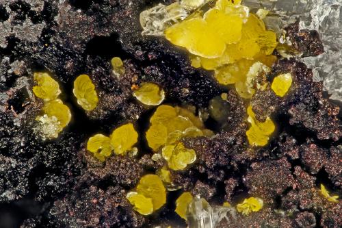 Descloizite<br />Chalk Mountain Mine, Chalk Mountain, Middlegate, Chalk Mountain District, Churchill County, Nevada, USA<br />FOV = 1.5 mm<br /> (Author: Doug)