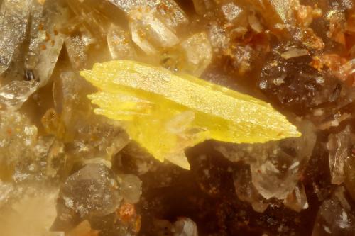 Pyromorphite<br />Mina Escalante, Monte Escalante, Distrito Escalante, Condado Iron, Utah, USA<br />FOV = 0.8 mm<br /> (Author: Doug)