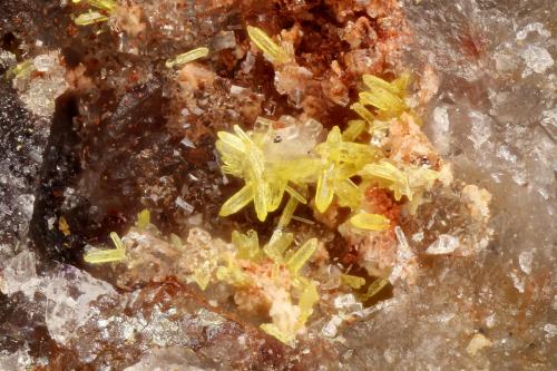 Pyromorphite<br />Mina Escalante, Monte Escalante, Distrito Escalante, Condado Iron, Utah, USA<br />FOV = 2.1 mm<br /> (Author: Doug)