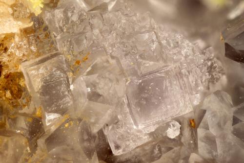 Fluorite<br />Escalante Mine, Mount Escalante, Escalante District, Iron County, Utah, USA<br />FOV = 2.9 mm<br /> (Author: Doug)
