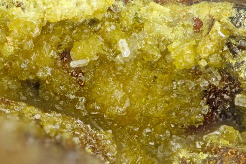 Senitie<br />Mina San Rafael, Campo Quartz Mountain, Colinas Lodi, Distrito Lodi, Condado Nye, Nevada, USA<br />FOV = 1.4 mm<br /> (Author: Doug)
