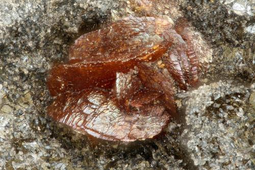 Siderite, Magnetite<br />Distrito Iron Springs, Condado Iron, Utah, USA<br />FOV = 1.2 mm<br /> (Author: Doug)