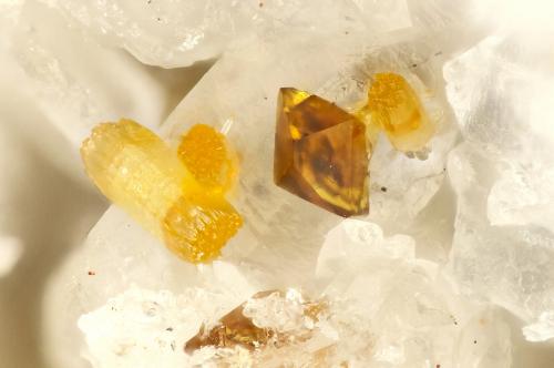 Wulfenite, Vanadinite<br />Vaca Hills, Silver Bell Mountains, Silver Bell District, Pima County, Arizona, USA<br />FOV = 0.9 mm<br /> (Author: Doug)