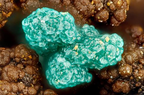 Chrysocolla<br />3 Metals Mine, Weepah District, Esmeralda County, Nevada, USA<br />FOV = 1.7 mm<br /> (Author: Doug)