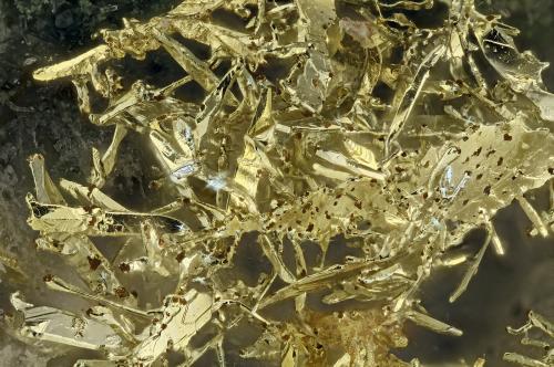Gold<br />Alta Gold Mine, 813 Pit, Pah Rah Mountains, Olinghouse mining district, Pah Rah Range, Washoe County, Nevada, USA<br />FOV = 4.0 mm<br /> (Author: Doug)