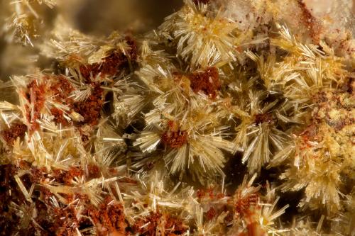 Mimetite<br />Santa Ana Mine, Cerrillos Mountains, Tocopilla Province, Antofagasta Region, Chile<br />FOV = 1.8 mm<br /> (Author: Doug)