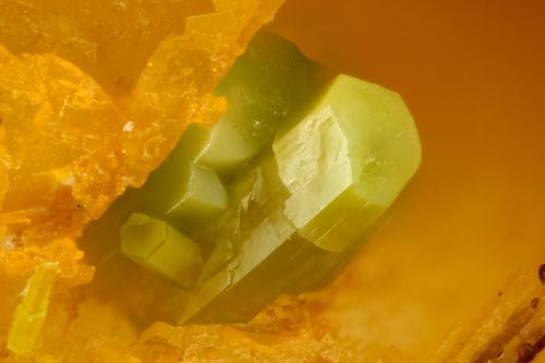 Pyromorphite<br />Mina Alter Bleiberg, Zimmerseifen, Reichshof, Oberbergischen Kreis, Renania del Norte-Westfalia/Nordrhein-Westfalen, Alemania<br />FOV = 1.2 mm<br /> (Author: Doug)