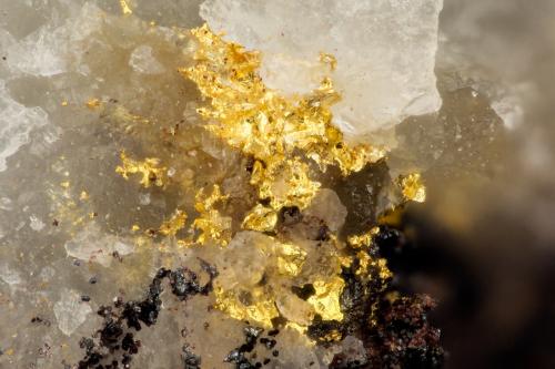 Gold<br />Dona Kay Mine, Granite Wash Mountains, Ellsworth District, La Paz County, Arizona, USA<br />FOV = 1.2 mm<br /> (Author: Doug)