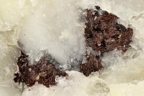 Aenigmatite<br />Washington Pass, Batolito Golden Horn, Condado Okanogan, Washington, USA<br />FOV = 1.6 mm<br /> (Author: Doug)