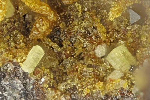 Fluorapatite<br />Lemolo Lake, Clearwater, Douglas County, Oregon, USA<br />FOV = 1.3<br /> (Author: Doug)