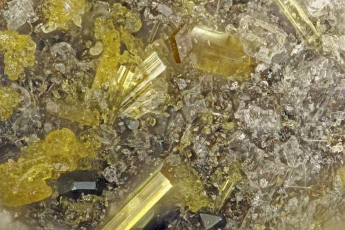 Fluoro-edenite<br />Lemolo Lake, Clearwater, Douglas County, Oregon, USA<br />FOV = 1.5 mm<br /> (Author: Doug)
