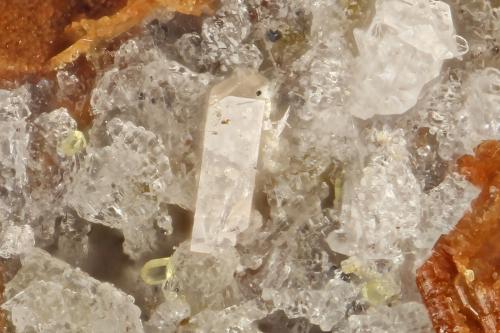 Zircon<br />Lago Lemolo, Clearwater, Condado Douglas, Oregon, USA<br />FOV = 0.6 mm<br /> (Author: Doug)