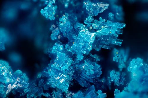 Langite<br />Mountain Mine, Castletown-Bearhaven Copper Mines, Allihies, Beara Peninsula, Kilnamanagh, County Cork, Munster Province, Ireland<br />FOV = 1.6 mm<br /> (Author: Doug)