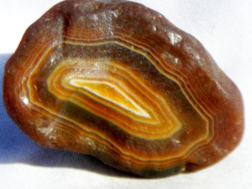 Black river agate rough (Author: condoragatemines)