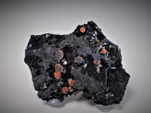 Rhodochrosite, Romanechite<br />Lone Tree Mine, Buffalo Mountain District, Humboldt County, Nevada, USA<br />48 mm x 38 mm x 8 mm<br /> (Author: Don Lum)