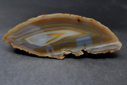 Cuatia agate cut and polished. Specimen shows chromatography. (Author: condoragatemines)