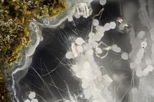 Clinoptilolite-Ca, Mordenite, Erionite-Ca<br />Cape Lookout Quarry, Netarts, Tillamook County, Oregon, USA<br />FOV = 2.0 mm<br /> (Author: Doug)
