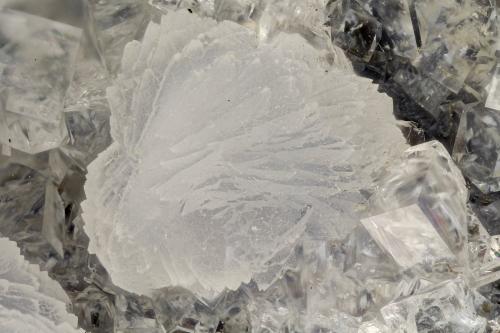 Gismondine, Chabazite<br />Oak Grove Fork, Clackamas River localities, Clackamas County, Oregon, USA<br />FOV = 4.0 mm<br /> (Author: Doug)