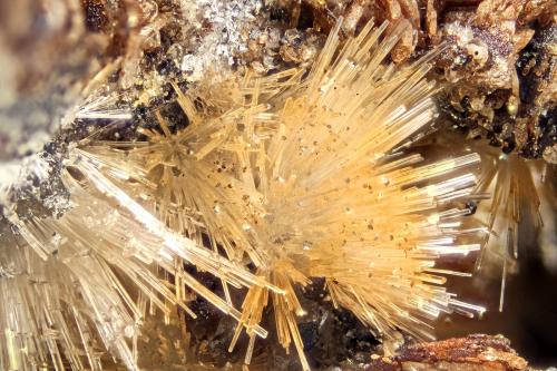 Willemite<br />Dives Mine, Trigo Mountains, Silver District, La Paz County, Arizona, USA<br />FOV = 4.0 mm<br /> (Author: Doug)