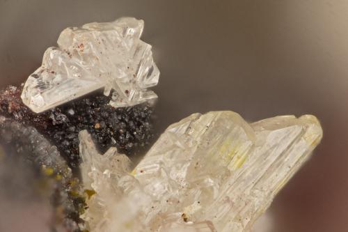 Cerussite<br />Dives Mine, Trigo Mountains, Silver District, La Paz County, Arizona, USA<br />FOV = 1.5 mm<br /> (Author: Doug)