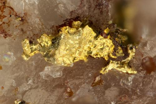 Gold<br />Star Extension 2 Mine, White Hills, Cerbat Mountains (Cerbat Range), Gold Basin District, Mohave County, Arizona, USA<br />FOV = 1.3 mm<br /> (Author: Doug)