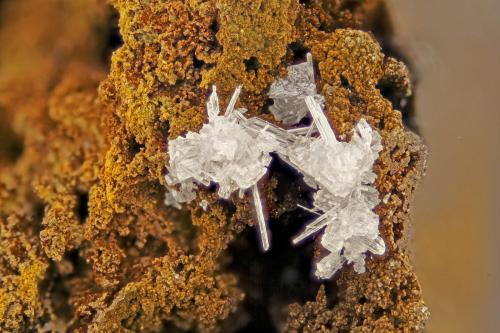 Cerussite<br />Wildermann Mine, Müsen, Siegerland, North Rhine-Westphalia/Nordrhein-Westfalen, Germany<br />FOV = 4.0 mm<br /> (Author: Doug)