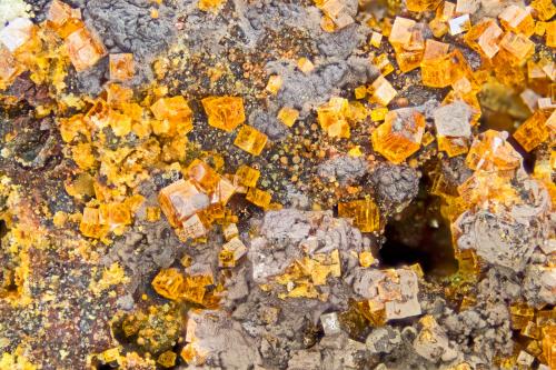 Natropharmacosiderite<br />Mina Gold Hill, Gold Hill, Distrito Gold Hill, Condado Tooele, Utah, USA<br />FOV = 4.00 mm<br /> (Author: Doug)