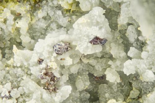 Rutile<br />Gold Hill Mine, Gold Hill, Gold Hill District, Tooele County, Utah, USA<br />FOV = 2.0<br /> (Author: Doug)