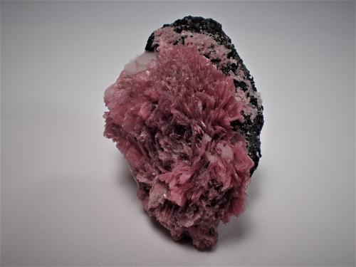 Rhodonite<br />San Martín Mine, Chiurucu (Chiuruco), Huallanca District, Bolognesi Province, Ancash Department, Peru<br />39 mm x 27 mm x 18 mm<br /> (Author: Don Lum)