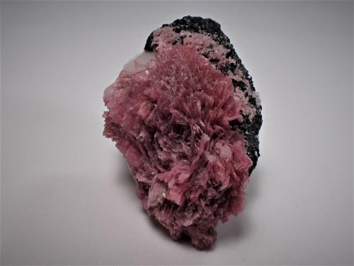 Rhodonite<br />Mina San Martín, Chiurucu (Chiuruco), Distrito Huallanca, Provincia Bolognesi, Departamento Ancash, Perú<br />39 mm x 27 mm x 18 mm<br /> (Author: Don Lum)