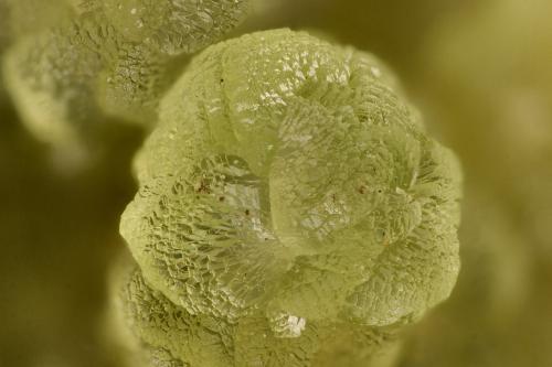 Smithsonite<br />Mina 79, Chilito, Zona Hayden, Distrito Banner, Montes Dripping Spring, Condado Gila, Arizona, USA<br />FOV = 2.9 mm<br /> (Author: Doug)