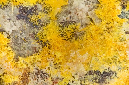 Mimetite<br />Blue Bell Mine, Baker, Soda Lake Mountains, San Bernardino County, California, USA<br />FOV = 3.7 mm<br /> (Author: Doug)