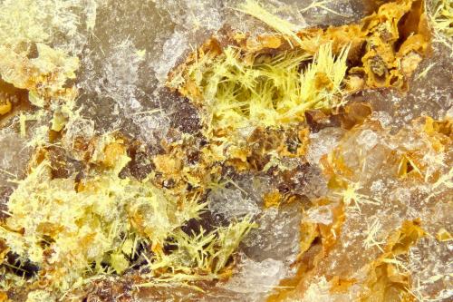 Mimetite<br />Reward Mine, Reward, Russ District, Inyo County, California, USA<br />FOV = 4.0 mm<br /> (Author: Doug)