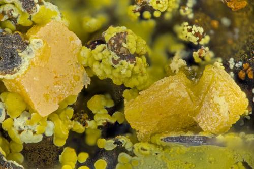 Wulfenite, Mimetite<br />Reward Mine, Reward, Russ District, Inyo County, California, USA<br />FOV = 2.0 mm<br /> (Author: Doug)