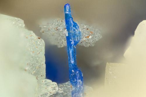 Linarite<br />Empress Mine, Zinc Hill, Argus Mountains (Argus Range), Zinc Hill District, Inyo County, California, USA<br />FOV = 1.6 mm<br /> (Author: Doug)