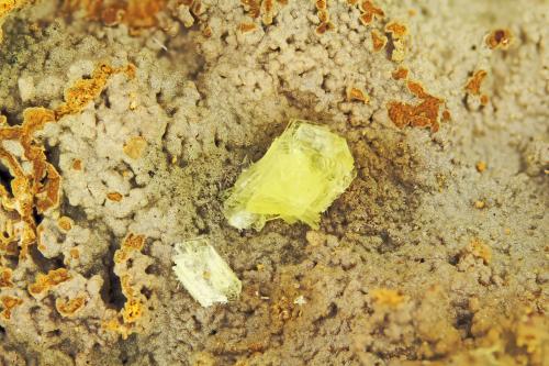 Calcioferrite<br />Moculta Phosphate Quarry, Barossa Valley, Angaston, Mount Lofty Ranges, South Australia, Australia<br />FOV = 4.0 mm<br /> (Author: Doug)