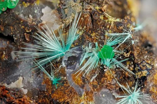 Mixite<br />Gold Hill Mine, Gold Hill, Gold Hill District, Tooele County, Utah, USA<br />FOV = 3.6 mm<br /> (Author: Doug)