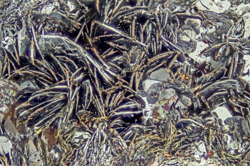 Hematite<br />Chub Lake, Hailesboro, St. Lawrence County, New York, USA<br />FOV = 4.0 mm<br /> (Author: Doug)