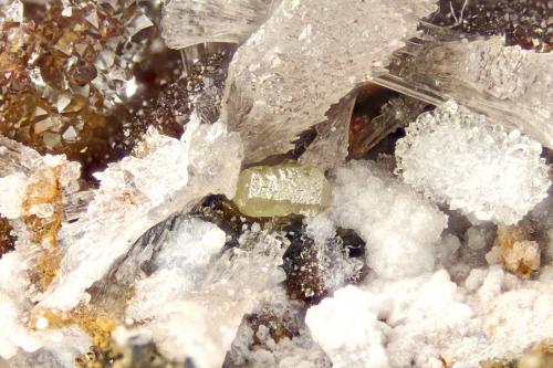 Chlorargyrite<br />Blue Bell Mine, Baker, Soda Lake Mountains, San Bernardino County, California, USA<br />FOV = 4.0 mm<br /> (Author: Doug)
